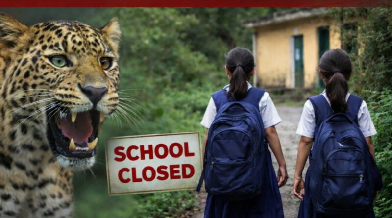 गुलदार की दहशत: नैनीताल के तीन विकासखंडों में विद्यालय व आंगनबाड़ी तीन दिन तक बंद