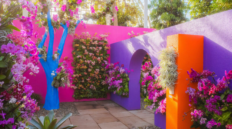 “Colorful orchid installations displayed at the New York Botanical Garden’s annual Orchid Show.”