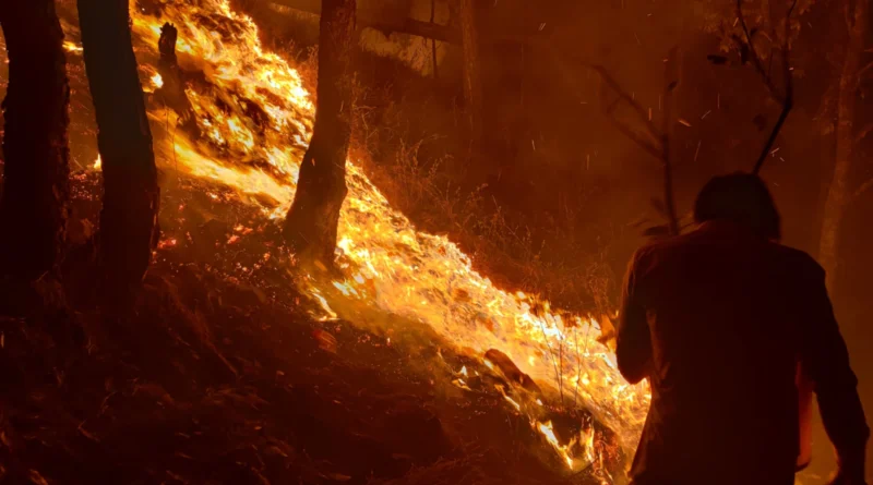 जंगल की आग से धुआं और लपटों के बीच पहाड़ी क्षेत्र